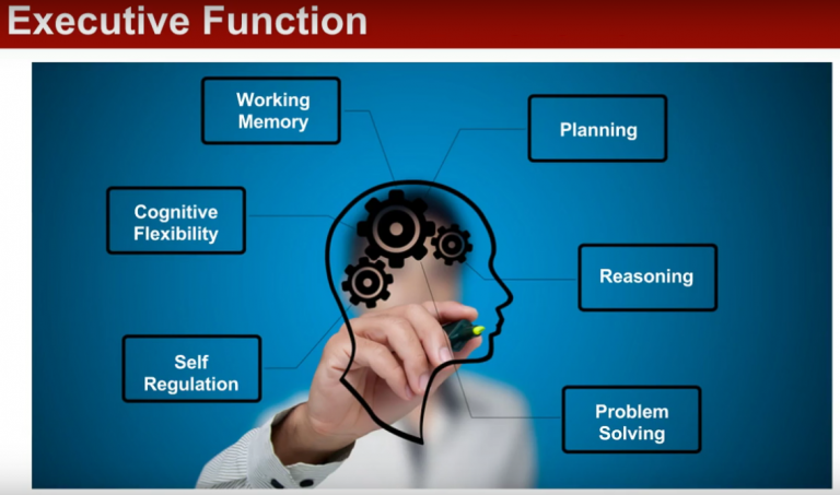 executive function skills